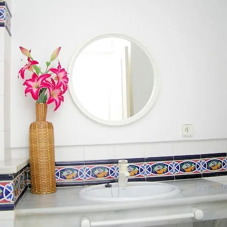 Alberca - Deniasol *